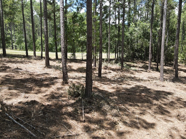 LOT6 Lighthouse Pt, Lincolnton, GA 30817 - photo 19