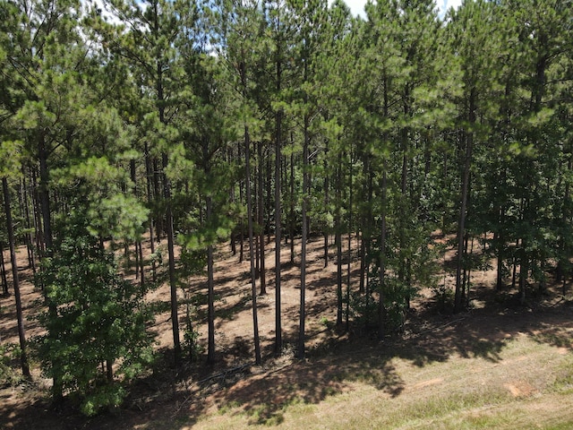 LOT6 Lighthouse Pt, Lincolnton, GA 30817 - photo 10