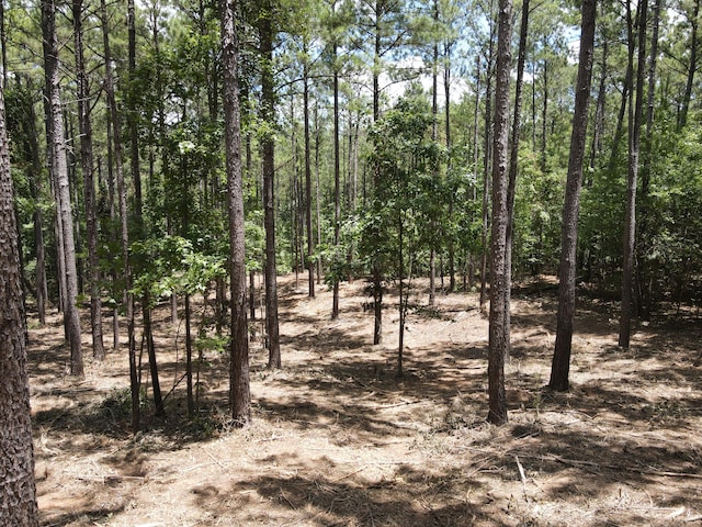 LOT6 Lighthouse Pt, Lincolnton, GA 30817 - photo 18