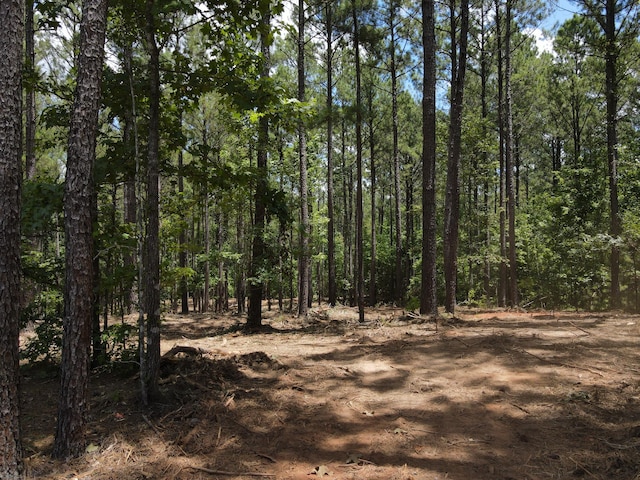 LOT6 Lighthouse Pt, Lincolnton, GA 30817 - photo 15