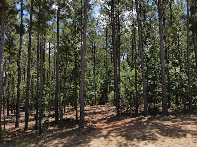 LOT6 Lighthouse Pt, Lincolnton, GA 30817 - photo 7