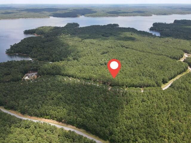 LOT6 Lighthouse Pt, Lincolnton, GA 30817 - photo 4