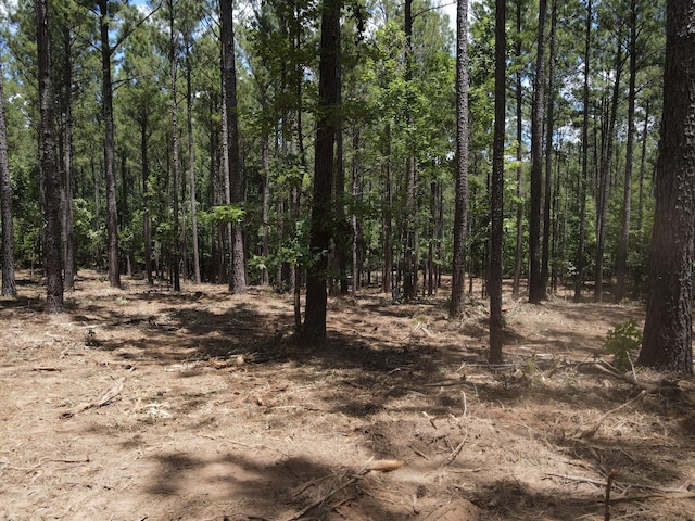 LOT6 Lighthouse Pt, Lincolnton, GA 30817 - photo 16