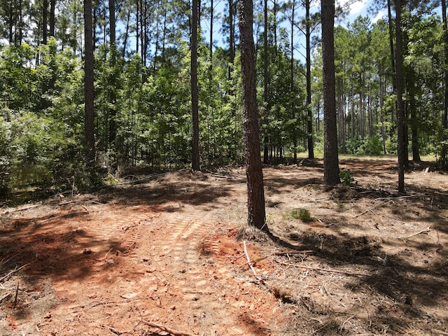 LOT6 Lighthouse Pt, Lincolnton, GA 30817 - photo 22