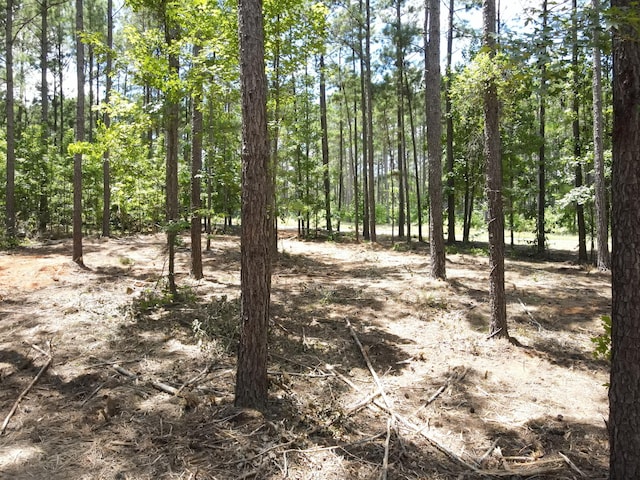 LOT6 Lighthouse Pt, Lincolnton, GA 30817 - photo 21