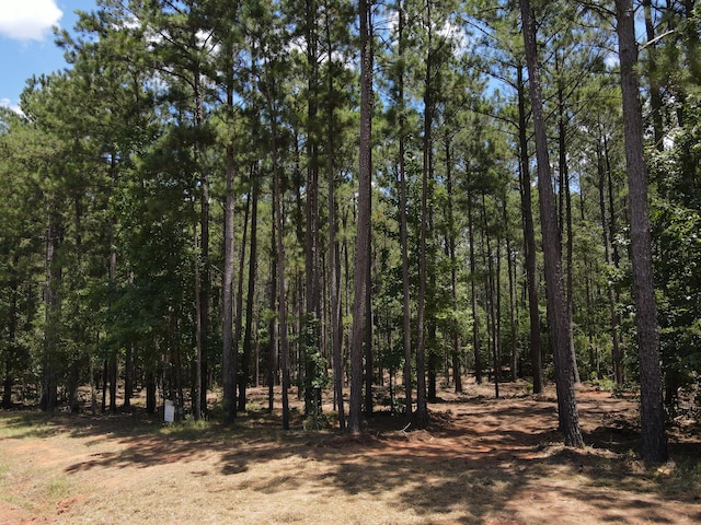 LOT6 Lighthouse Pt, Lincolnton, GA 30817 - photo 6