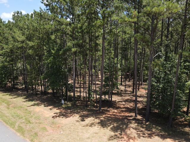 LOT6 Lighthouse Pt, Lincolnton, GA 30817 - photo 9
