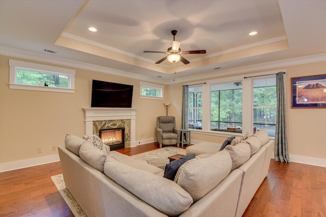 living room featuring a raised ceiling and wood-type flooring