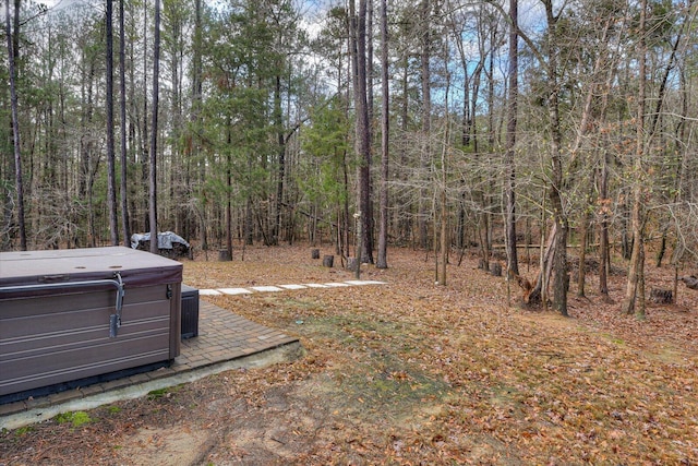 view of yard featuring a hot tub