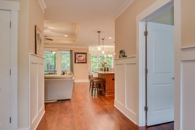 hall featuring wood-type flooring, a tray ceiling, and crown molding