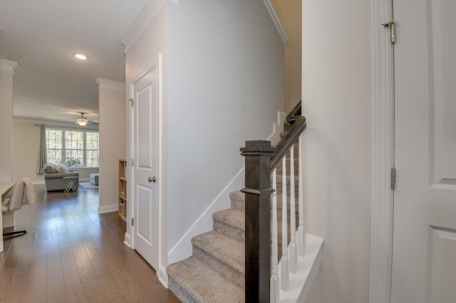 stairway featuring wood-type flooring, ceiling fan, and crown molding