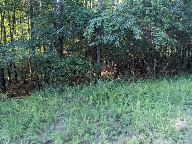 Listing photo 2 for LOT24 Savannah Rd, Lincolnton GA 30817