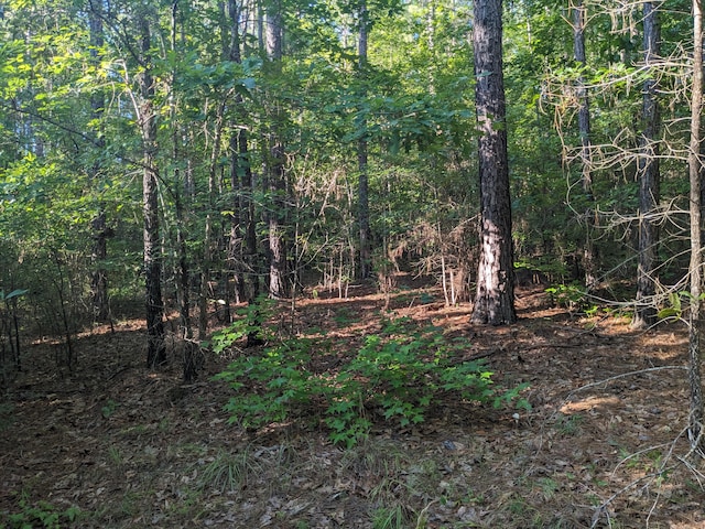 Listing photo 3 for LOT24 Savannah Rd, Lincolnton GA 30817