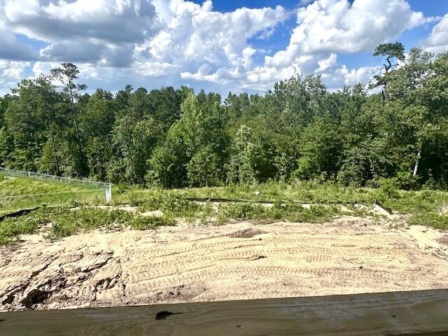 8144 Crossbow Lndg, Graniteville, SC 29829 - view of woods