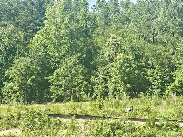 8144 Crossbow Lndg, Graniteville, SC 29829 - view of woods