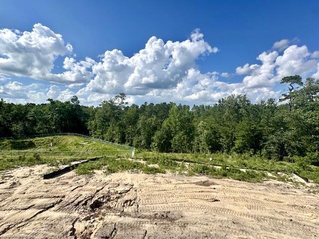 8144 Crossbow Lndg, Graniteville, SC 29829 - view of woods