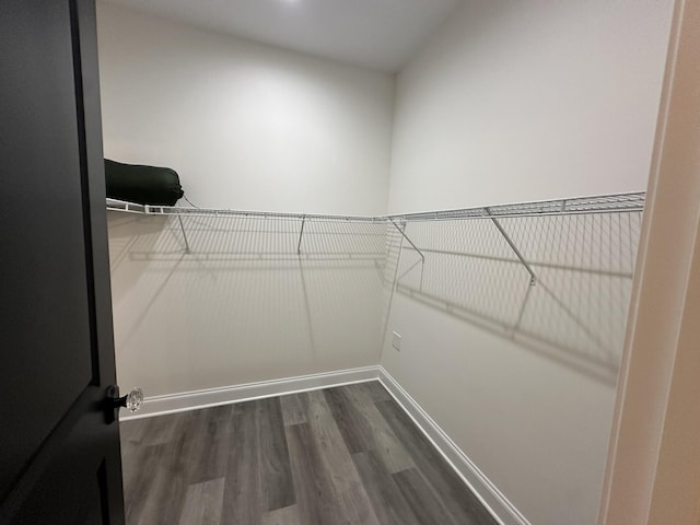 spacious closet featuring dark wood-type flooring