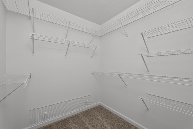 1006 Rosendale Dr, Hephzibah, GA 30815 - walk in closet featuring carpet floors