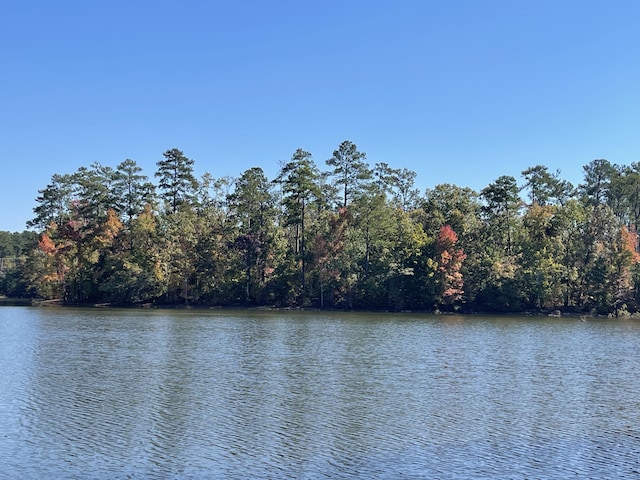 00 Long Cv, Lincolnton GA, 30817 land for sale