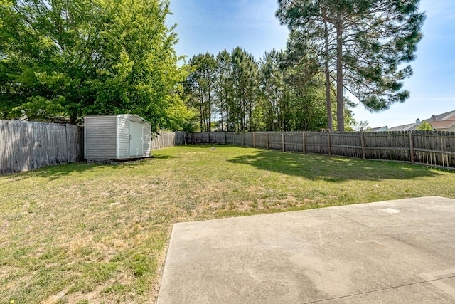 view of yard with a patio, a fenced backyard, a storage unit, and an outdoor structure
