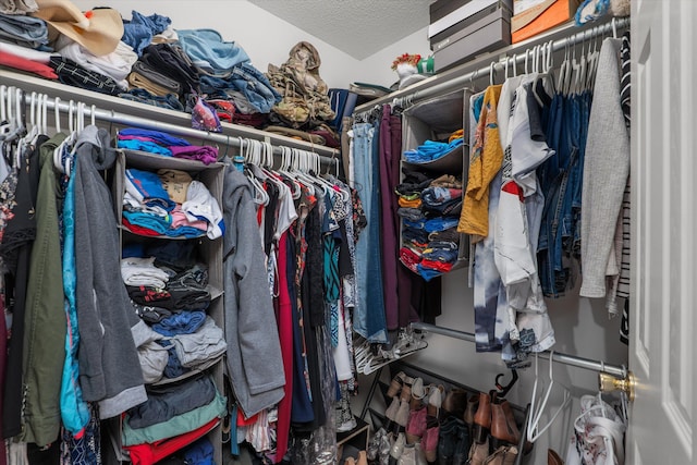 view of walk in closet