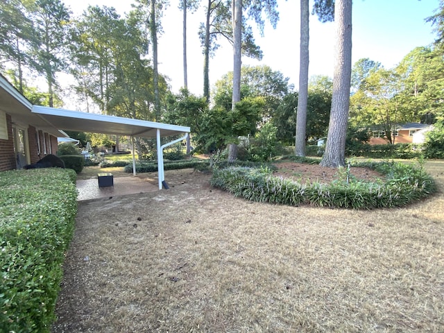 2416 Forest Park Rd, Augusta, GA 30904 - view of yard