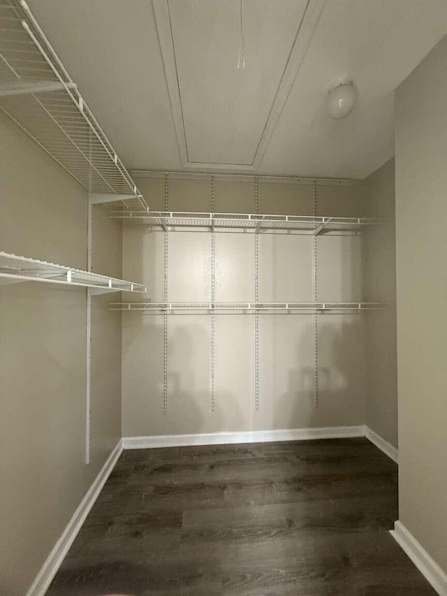 spacious closet with attic access and wood finished floors