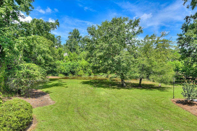 3549 Stevens Way, Martinez, GA 30907 - view of green lawn