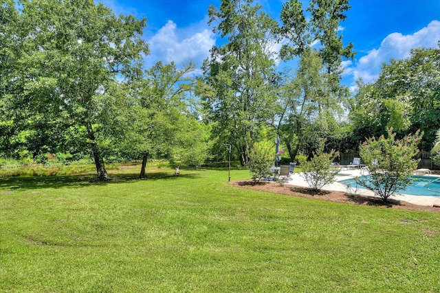 3549 Stevens Way, Martinez, GA 30907 - view of green lawn with view of wooded area