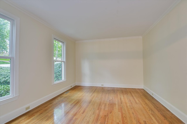 3549 Stevens Way, Martinez, GA 30907 - empty room featuring light wood-type flooring and crown molding