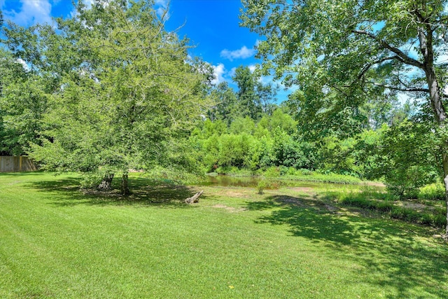 3549 Stevens Way, Martinez, GA 30907 - view of yard