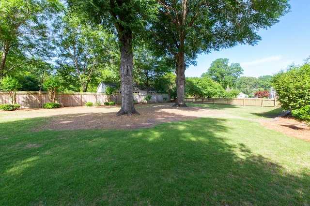 116 Jackson Rd, Jackson, SC 29831 - view of yard