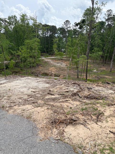 327 Canterbury Dr, Evans, GA 30809 - photo 1