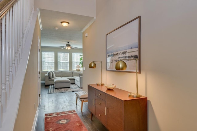 hallway featuring crown molding and dark hardwood / wood-style floors