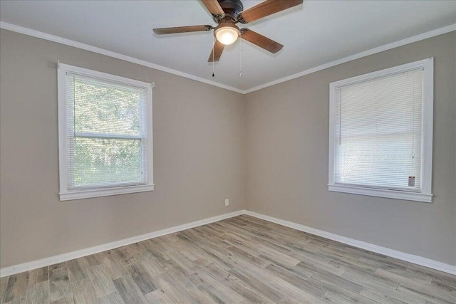 unfurnished room featuring crown molding, ceiling fan, and light wood-type flooring