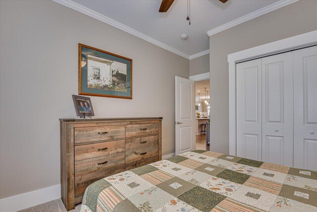 carpeted bedroom with ceiling fan, a closet, and ornamental molding