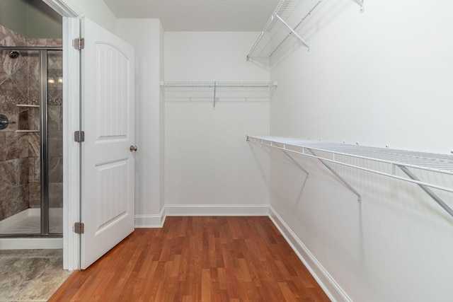 walk in closet with wood-type flooring