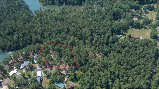 1070 Whitstone Rd, Lincolnton, GA 30817 - photo 2