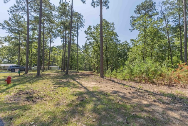 1070 Whitstone Rd, Lincolnton, GA 30817 - photo 15