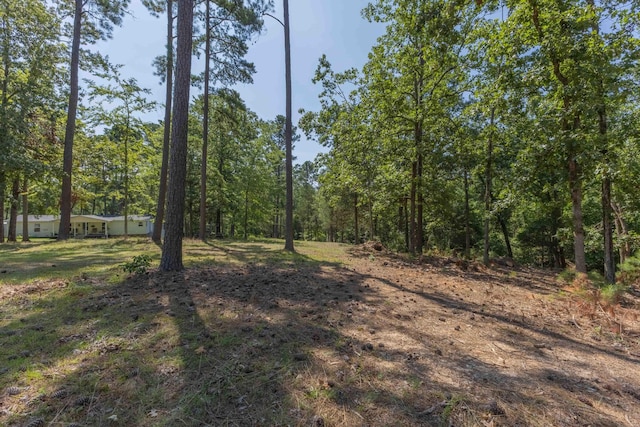 1070 Whitstone Rd, Lincolnton, GA 30817 - photo 14