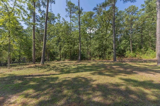 1070 Whitstone Rd, Lincolnton, GA 30817 - photo 16