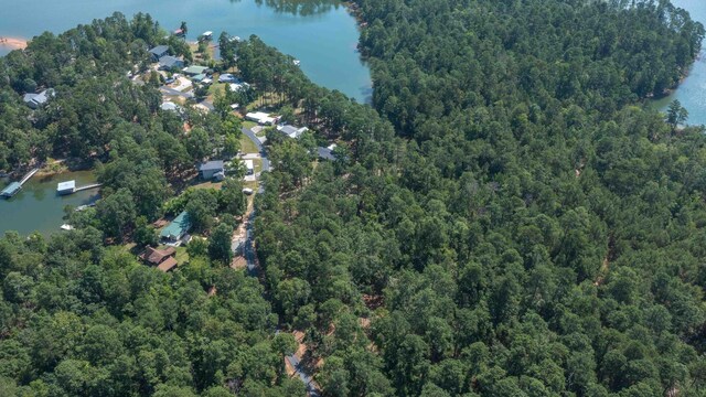 1070 Whitstone Rd, Lincolnton, GA 30817 - photo 6