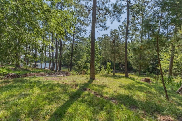 1070 Whitstone Rd, Lincolnton, GA 30817 - photo 13