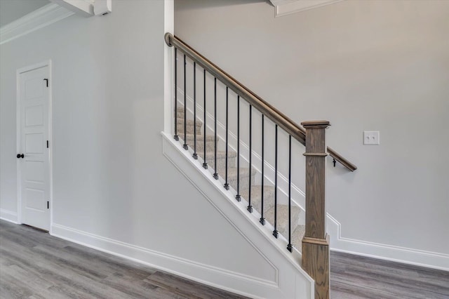 397 Mill Stone Ln, North Augusta, SC 29860 - photo 25