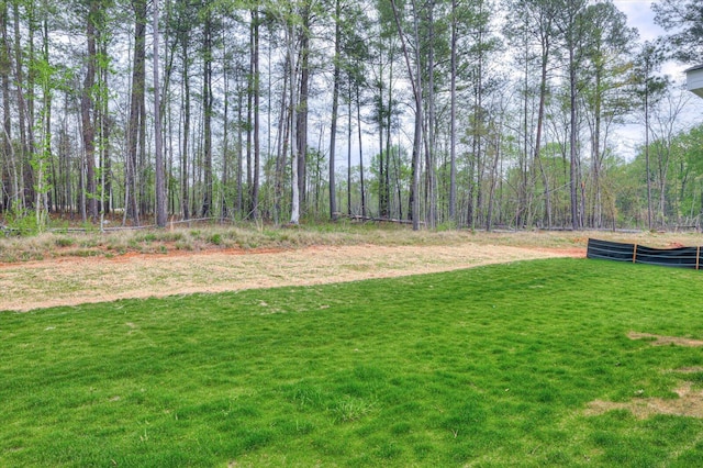 397 Mill Stone Ln, North Augusta, SC 29860 - photo 49