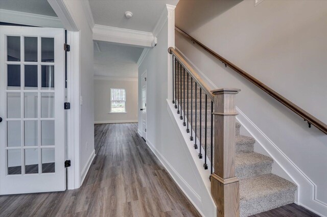 397 Mill Stone Ln, North Augusta, SC 29860 - photo 6