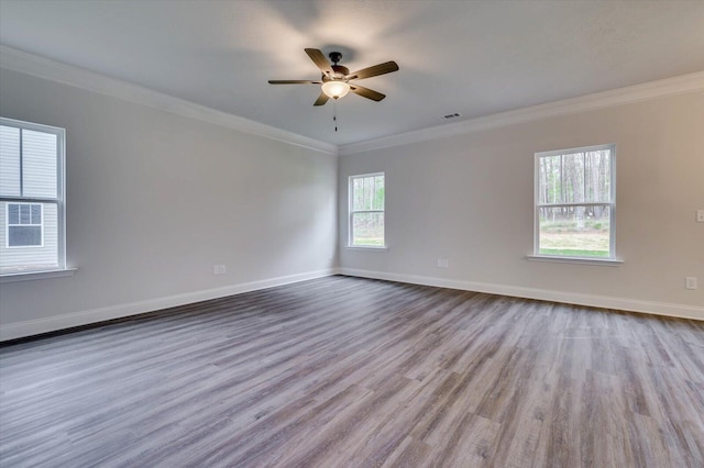 397 Mill Stone Ln, North Augusta, SC 29860 - photo 7