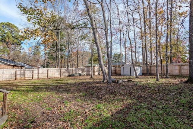 view of yard featuring a storage shed