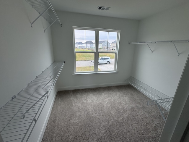 spacious closet with carpet floors and visible vents