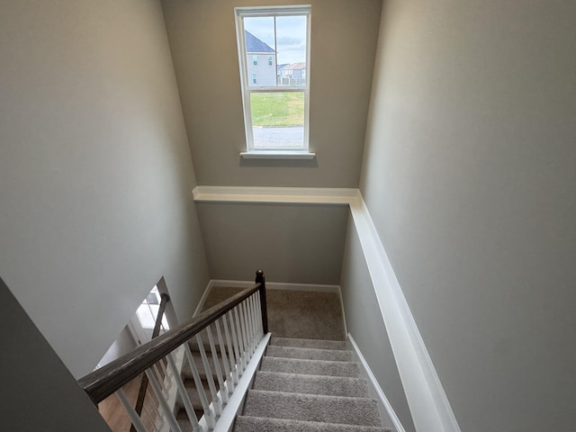 staircase with carpet flooring and baseboards